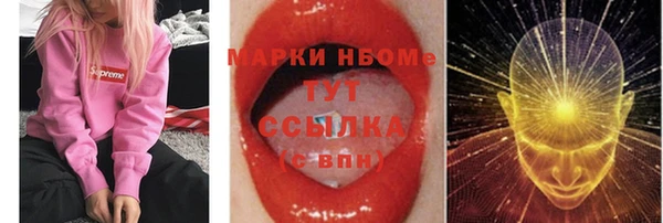 дживик Надым