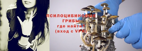 метадон Нея