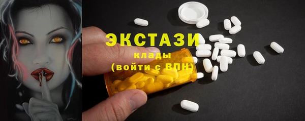 дживик Надым