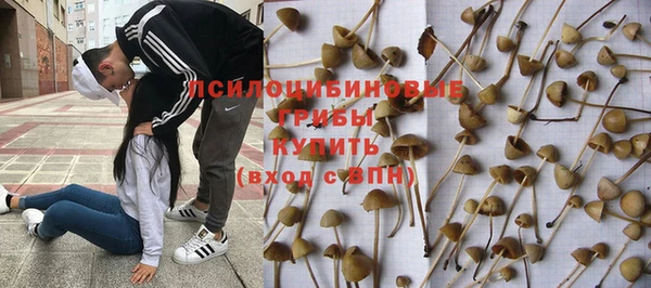 дживик Надым