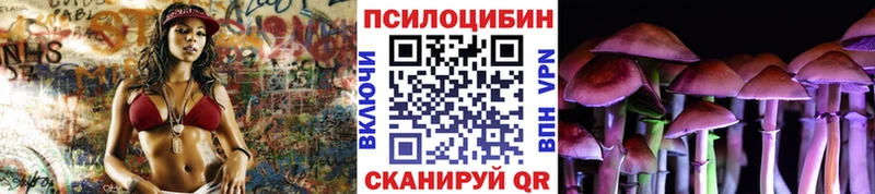 Купить где  Карачаевск  Галлюциногенные грибы Psilocybine cubensis 