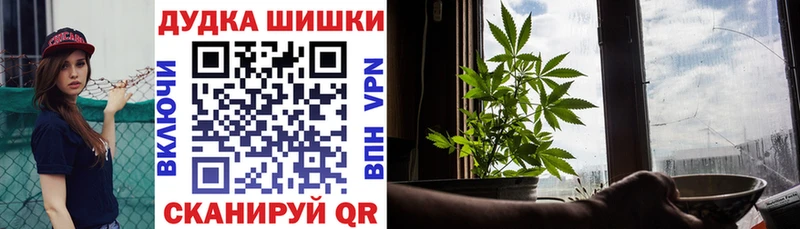 Бошки марихуана индика  Купить  Карачаевск 